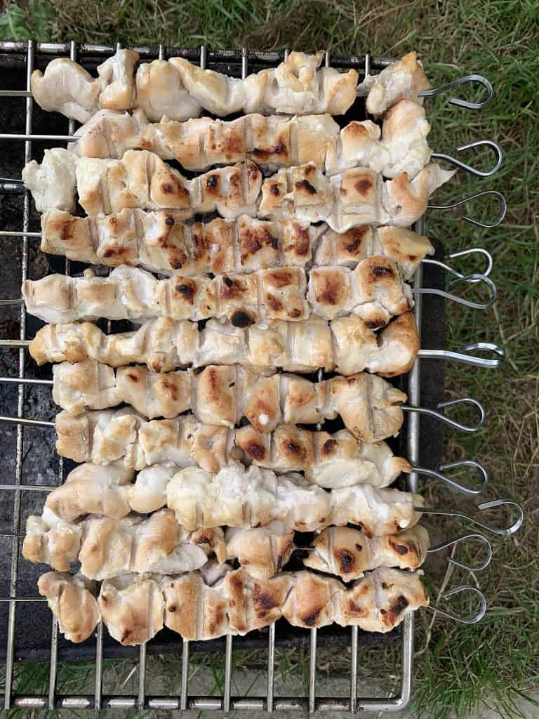 Outdoor gas grill backyard BBQ