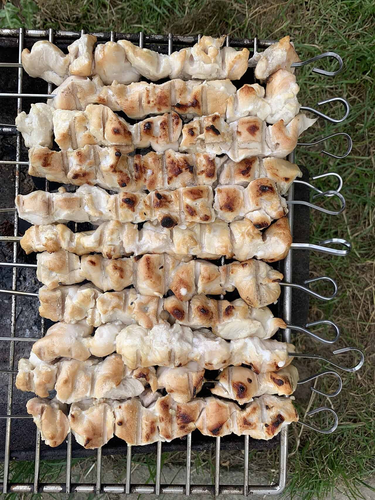 Best Outdoor Gas Grills