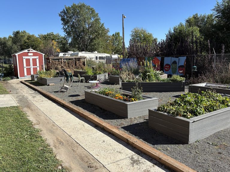 Best Raised Garden Beds for 2026 — Top Kits for Every Budget