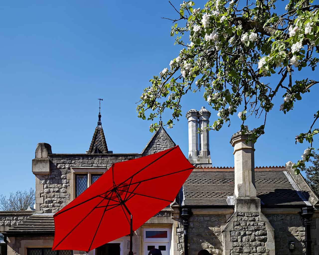 Best patio umbrellas