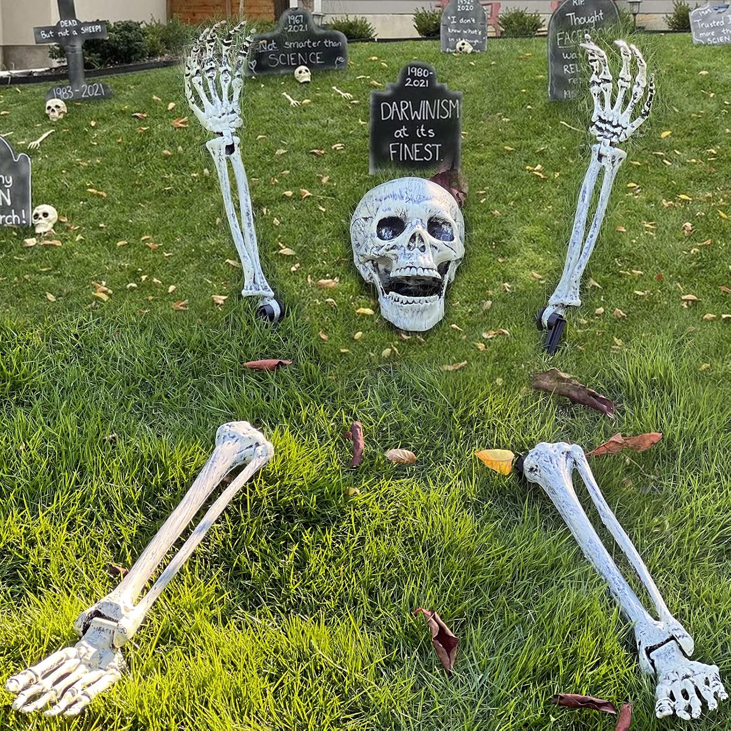 Skeleton Yard Stakes
