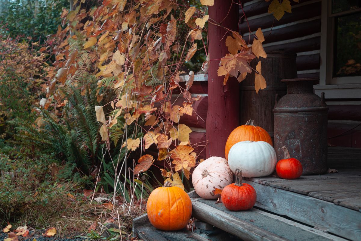 Best-Outdoor-Rugs-Fall-2026