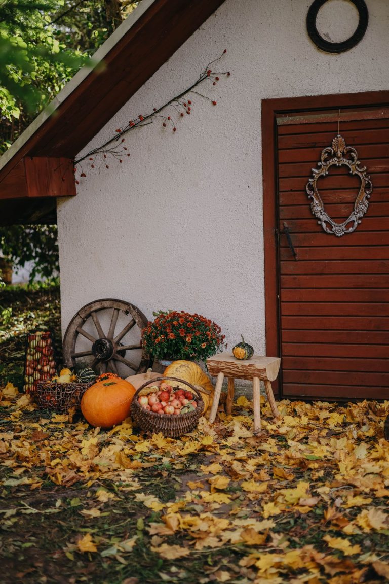 Halloween-Yard-Decoration-Ideas